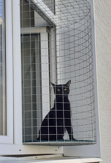 Балкон кошек «Васька» с черным котом