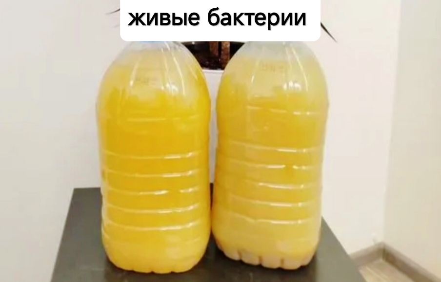 Бактерии для почвы купить