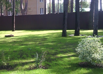 Система полива газона в Тюмени 