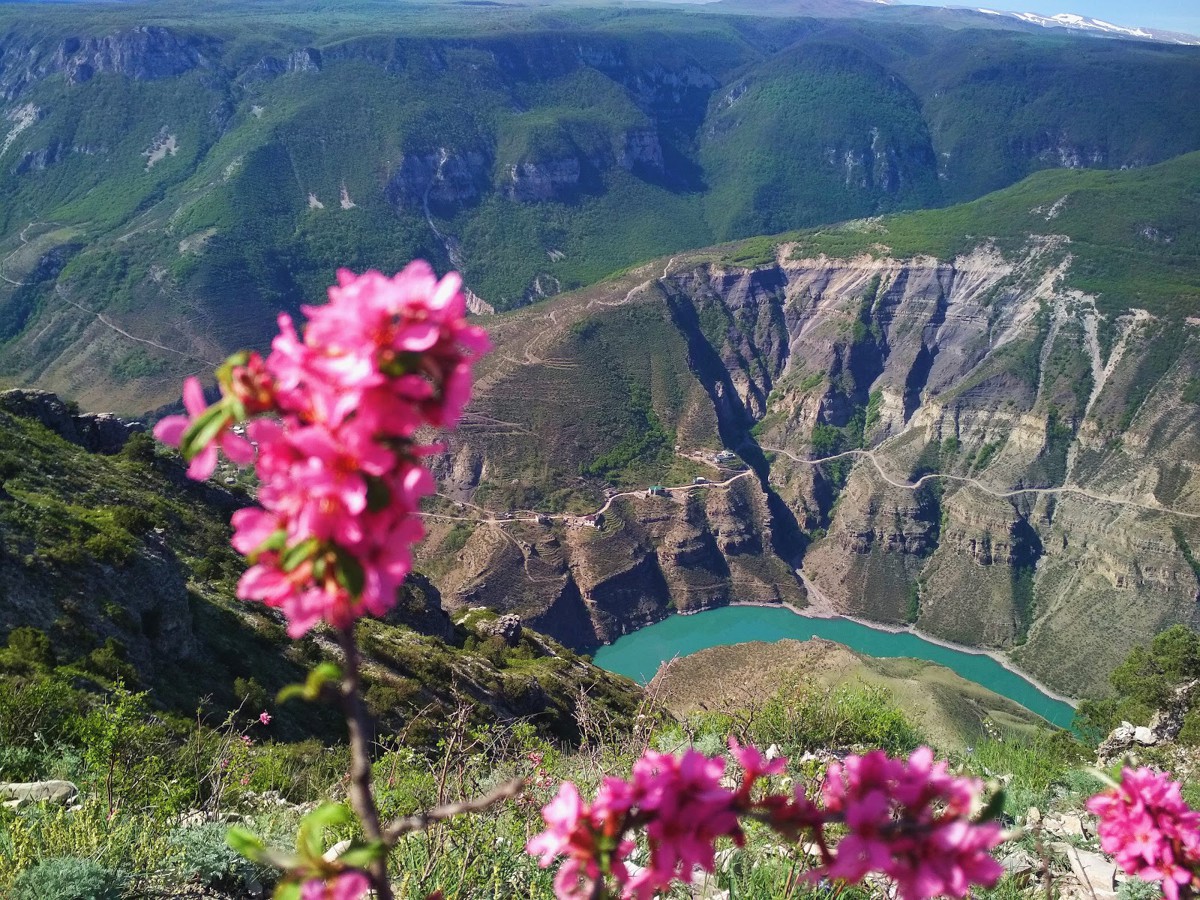 Весна в горах дагестана