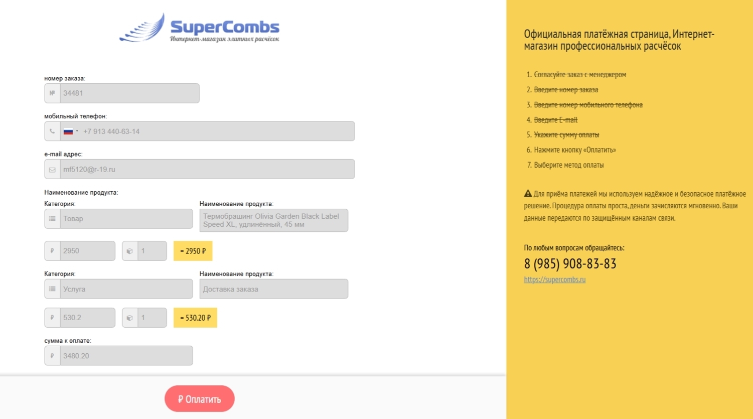 Пример платёжной страницы - фото