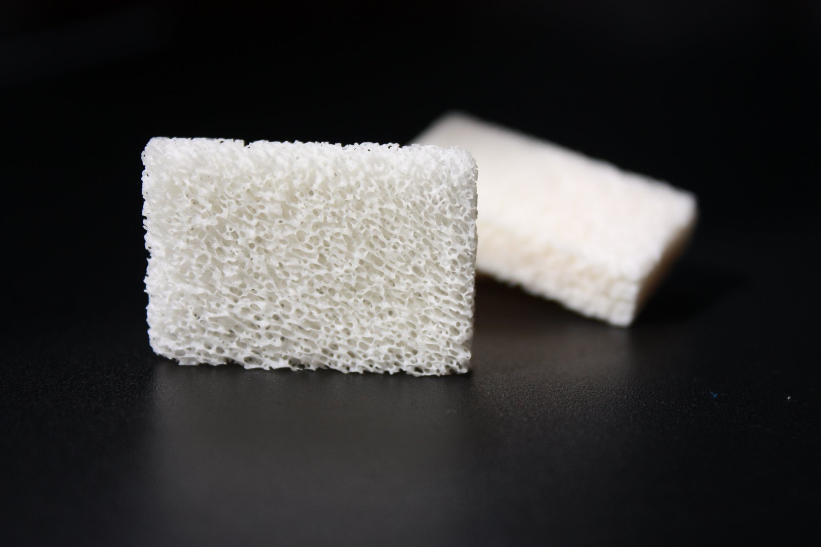 Demineralized Bone Block for Large Bone Defects