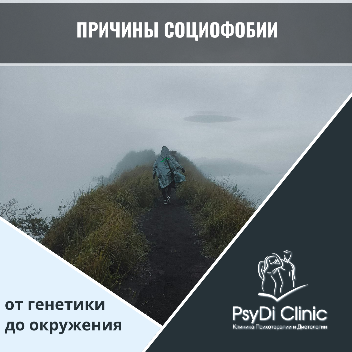 Причины социофобии: от генетики до окружения