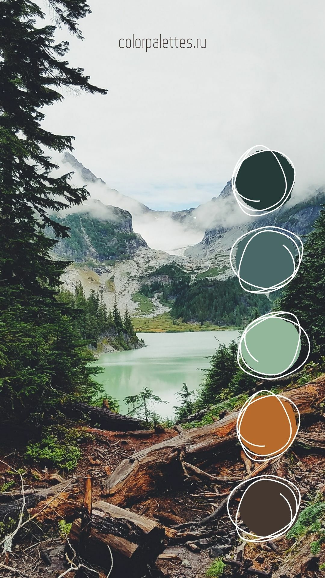 Nature palette of a mountain lake