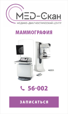 Пример баннера 240×400