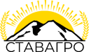 Company