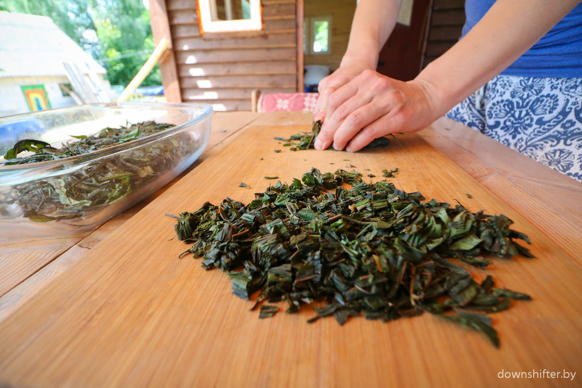 Как приготовить листья чая. Растения для сушки в чай.