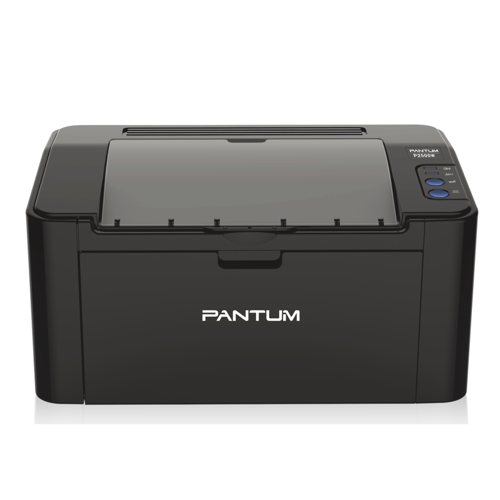 Принтер пантум. Принтер лазерный Pantum p2500w. Pantum p2516. Принтер Pantum 2207.