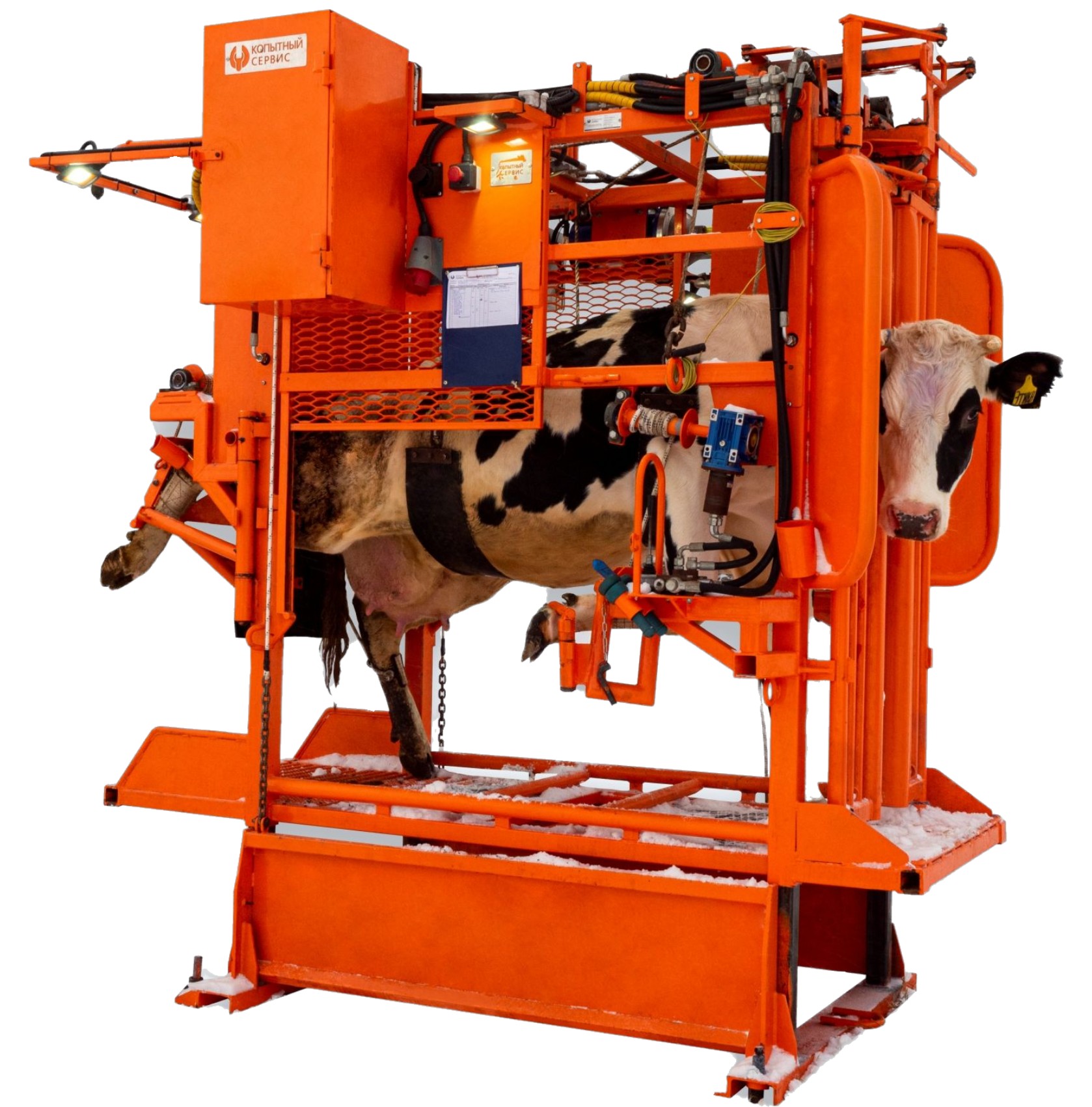 Станки для обработки копыт КРС