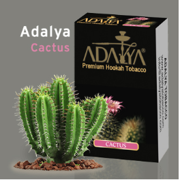 Купить избранный табак Adalya CACTUS
