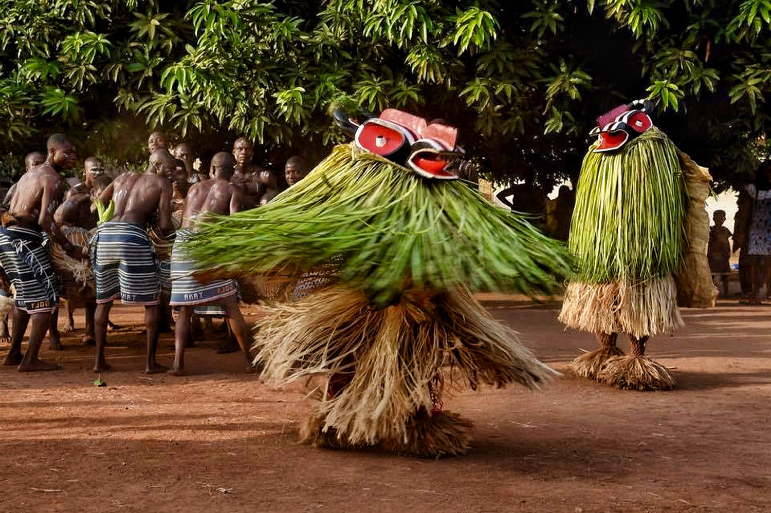 Expedition to Ivory Coast, Ghana, Guinea, Sierra Leone, Liberia