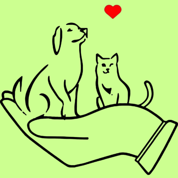 Стерилизация бездомных