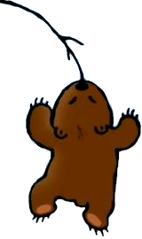 Непослушный медвежонок