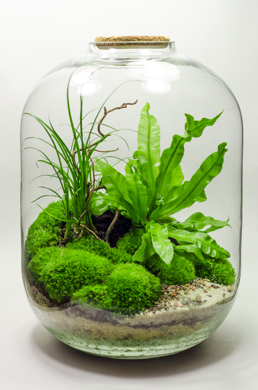 Флорариум Купить В Москве