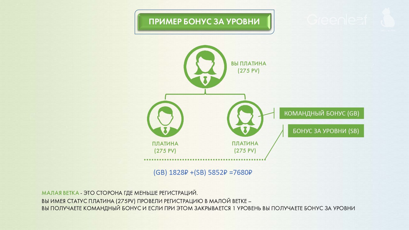 Member greenleaf global. Гибридный маркетинг план. Гринлиф маркетинг. Greenleaf продукция. Greenleaf продукция каталог.