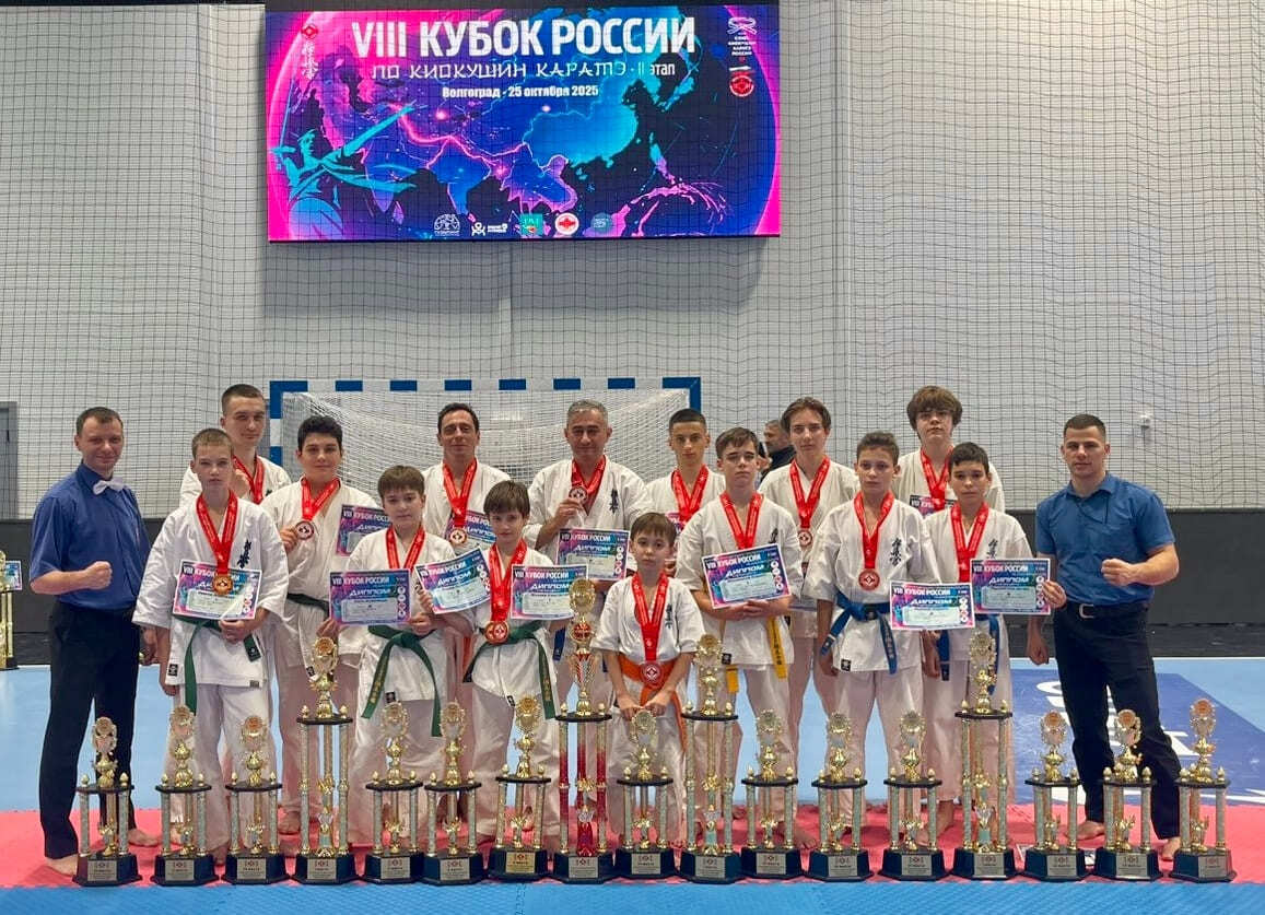 Сколько поясов в киокушинкай