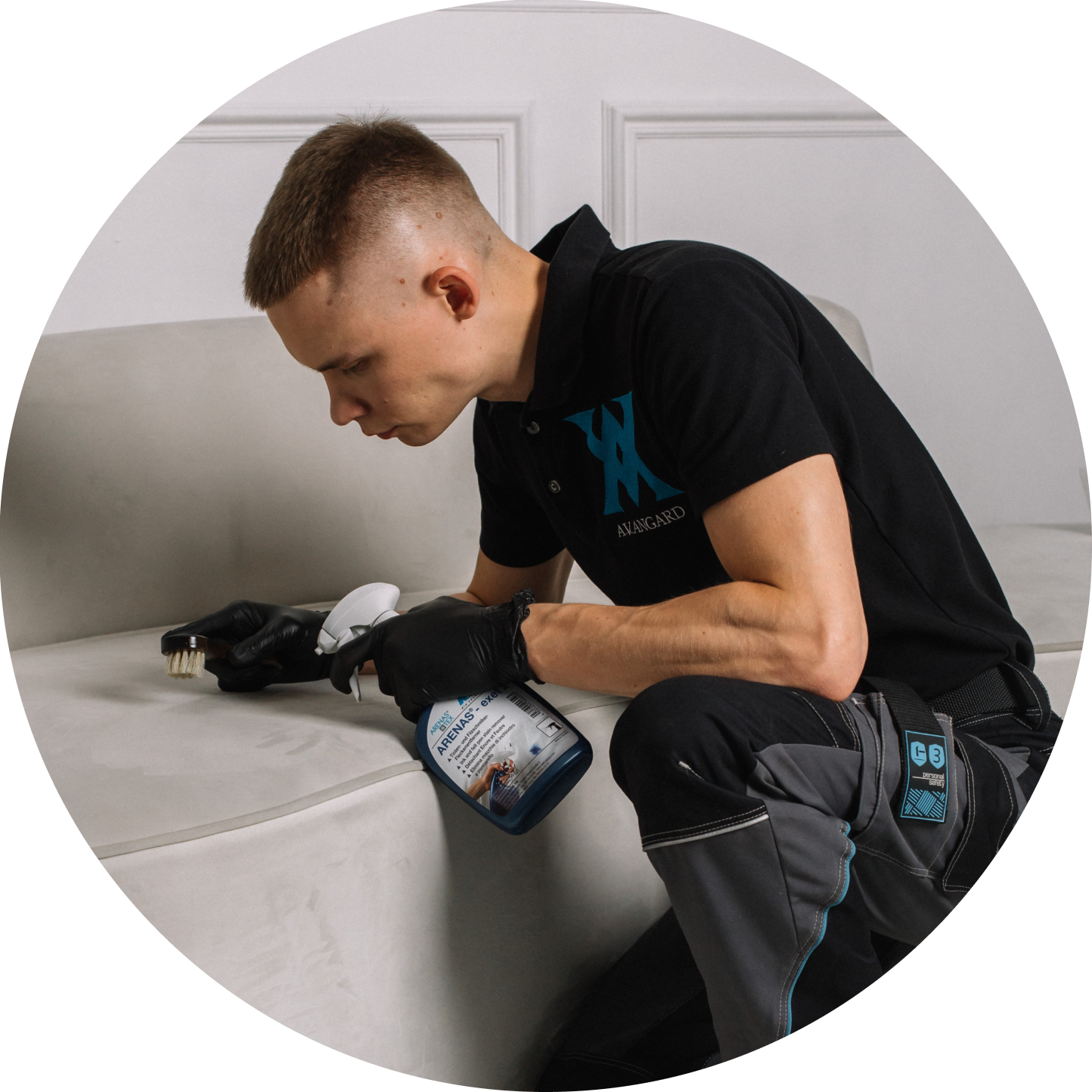 Лев с химией для ткани Богородск и Павлово