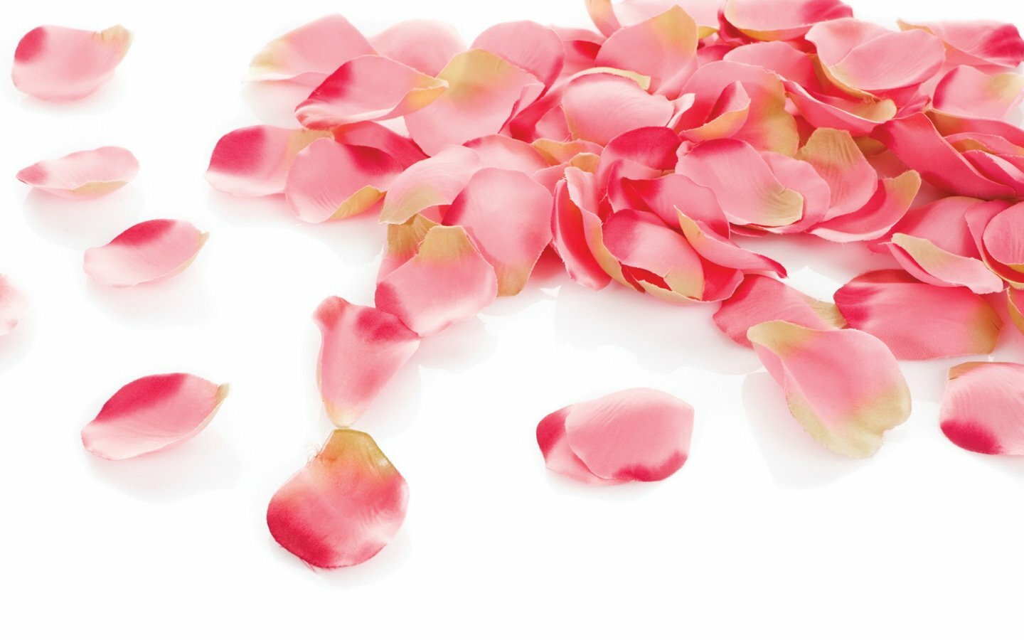 Аргентинское танго цветов 