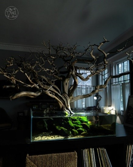 Акватектура