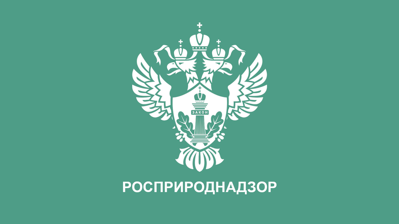 комплексное экологическое разрешение, заявка на получение комплексного экологического разрешения, как получить комплексное экологическое разрешение, получение комплексного экологического разрешения, программа повышения экологической эффективности