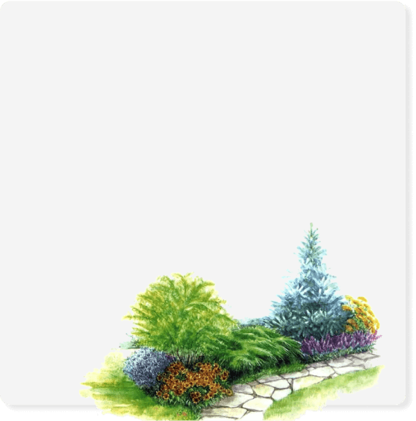 Кладка плитки на участке в СПб и Лениградской области 