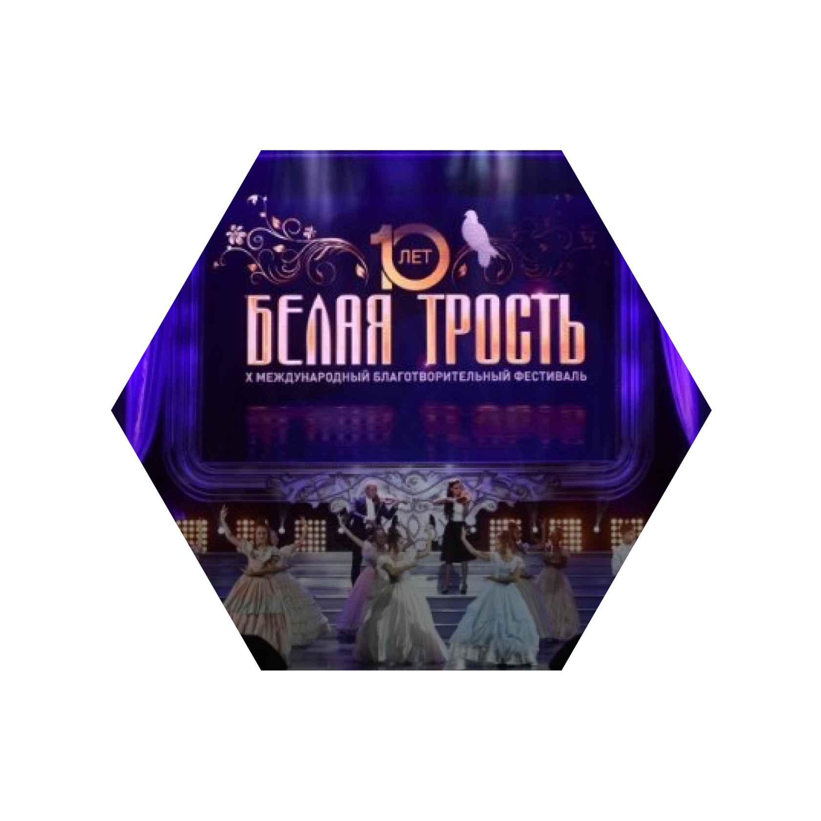 Сопровождение участников Международного благотворительного музыкального фестиваля «Белая трость» Дианы Гурцкой