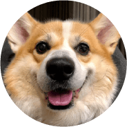 фотосессия