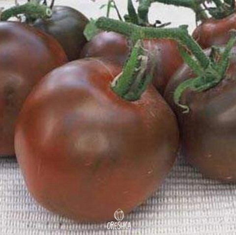 Tomato Black Prince — 10 seeds