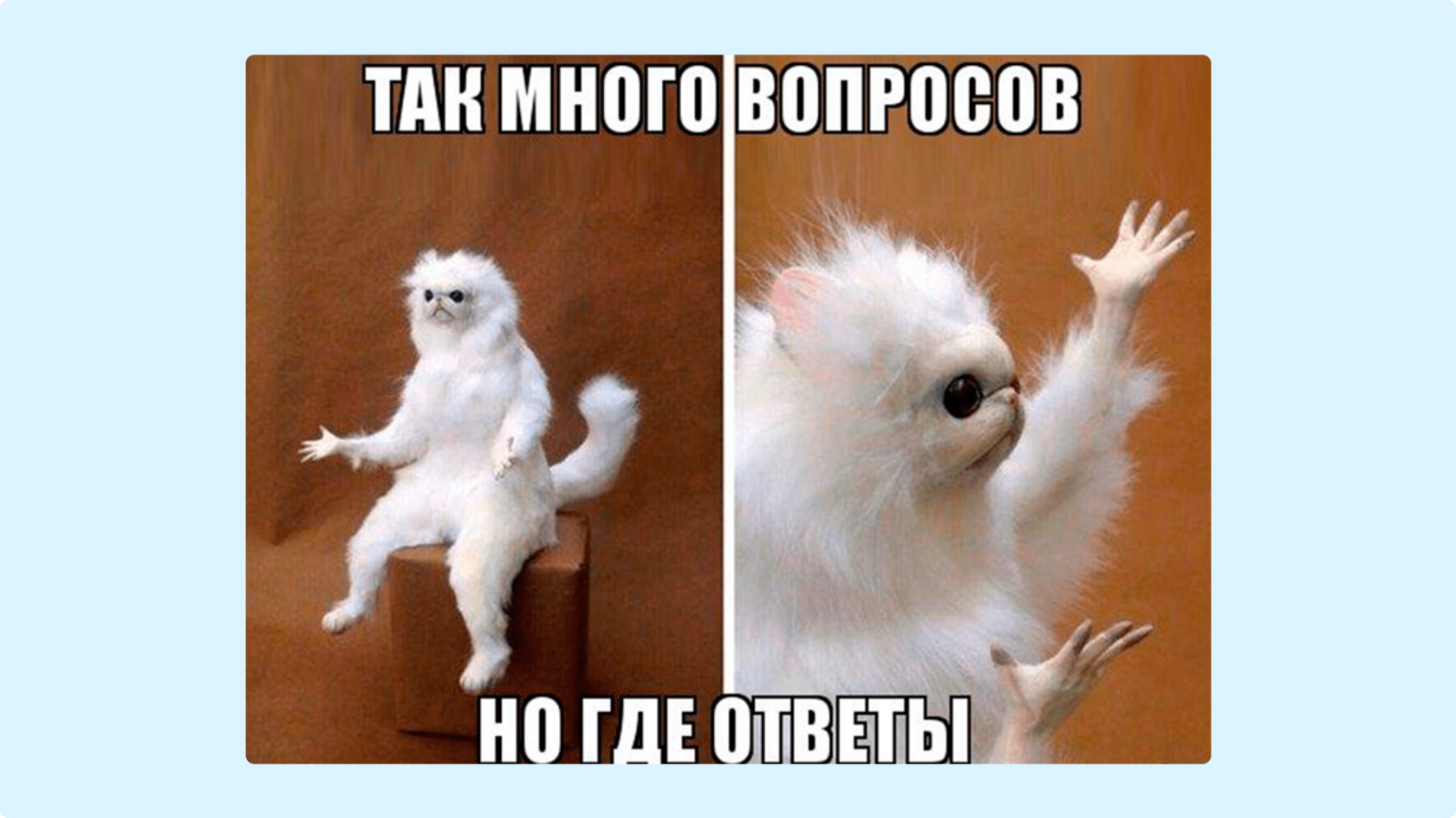 Мем про проектного менеджера