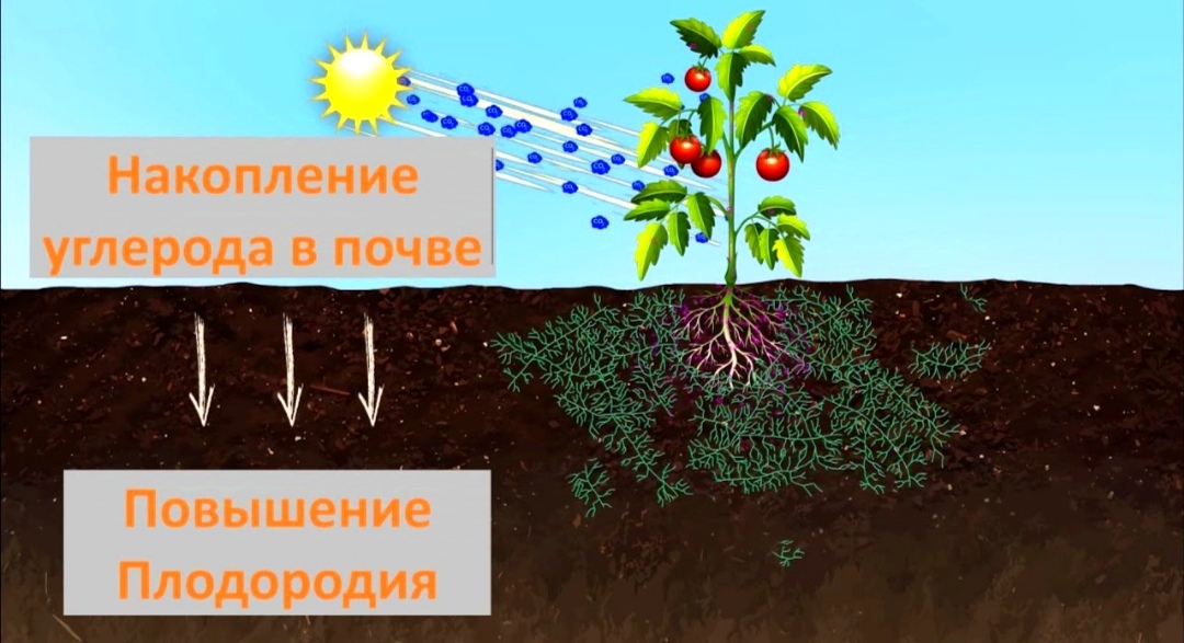  Почвенные ресурсы