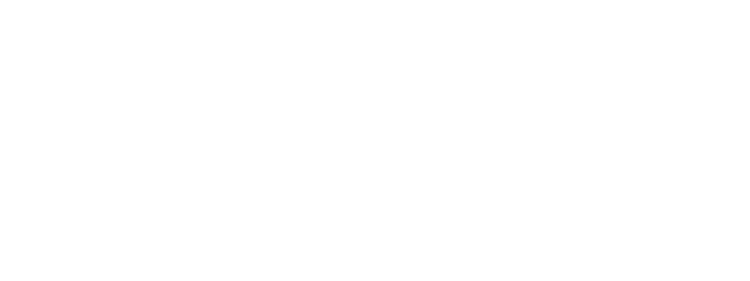 Tom Tailor
