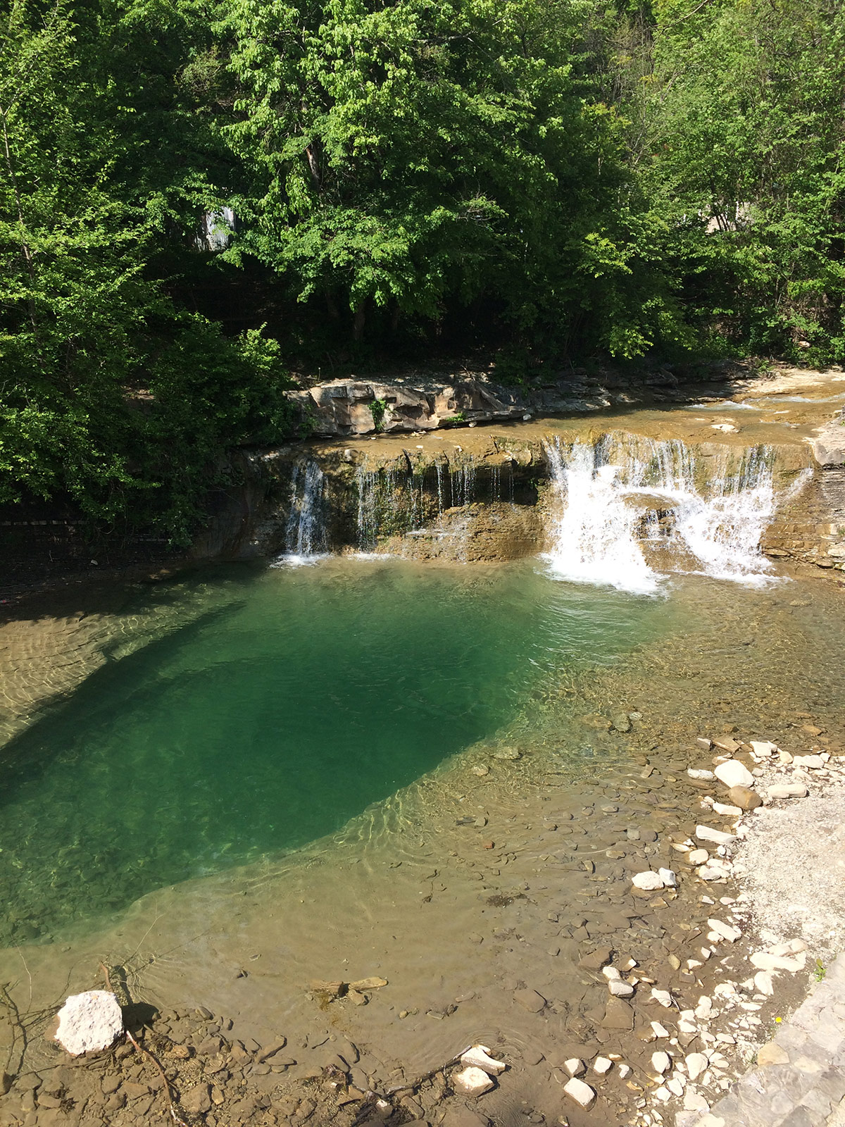 Жане фото. Долина реки жане Геленджик. Водопады Возрождение Геленджик. Долина реки жане Возрождение Геленджик. Долина реки жане Краснодарский край.