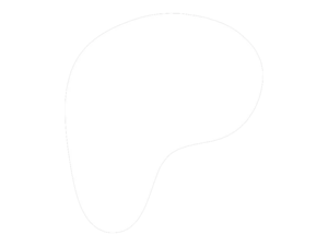 website icon