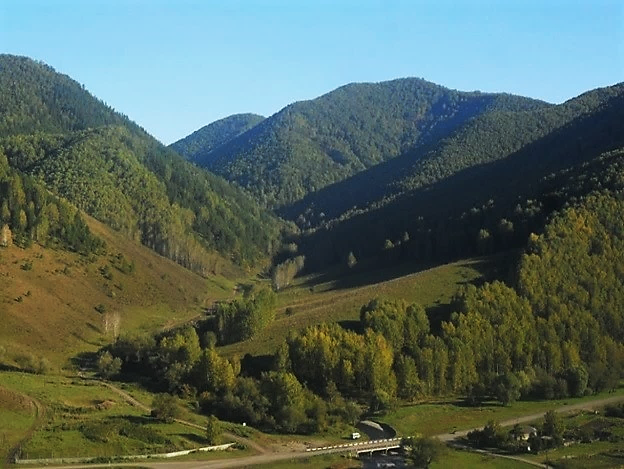 Лог алтайский край. Алтайский край , с Сараса , Лог Арбанак. Алтай Сараса. Лог Арбанак гора Аргут. Село Сараса Алтайский край Алтайский район.