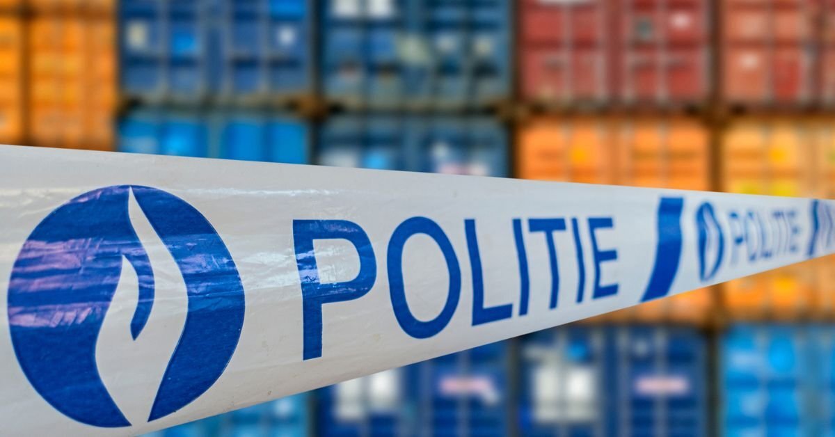 krapsana, kravu zadzibas, transporta kompanijas, tapa, fenadismer, transports, drošiba, europa, noliktavas, noziedziba