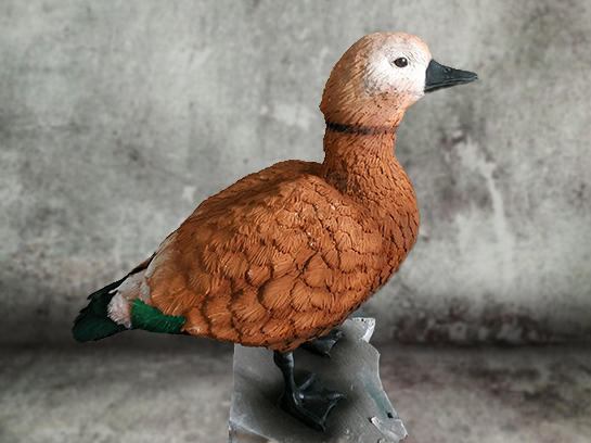 Муляж утки