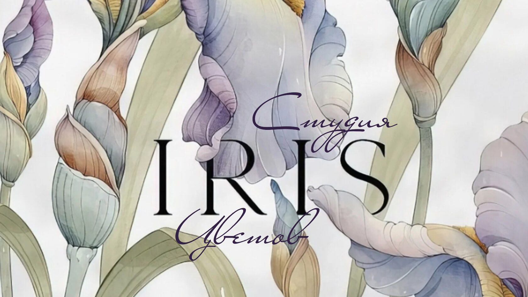 Студия Цветов Ирис