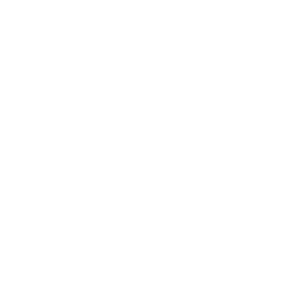 website icon