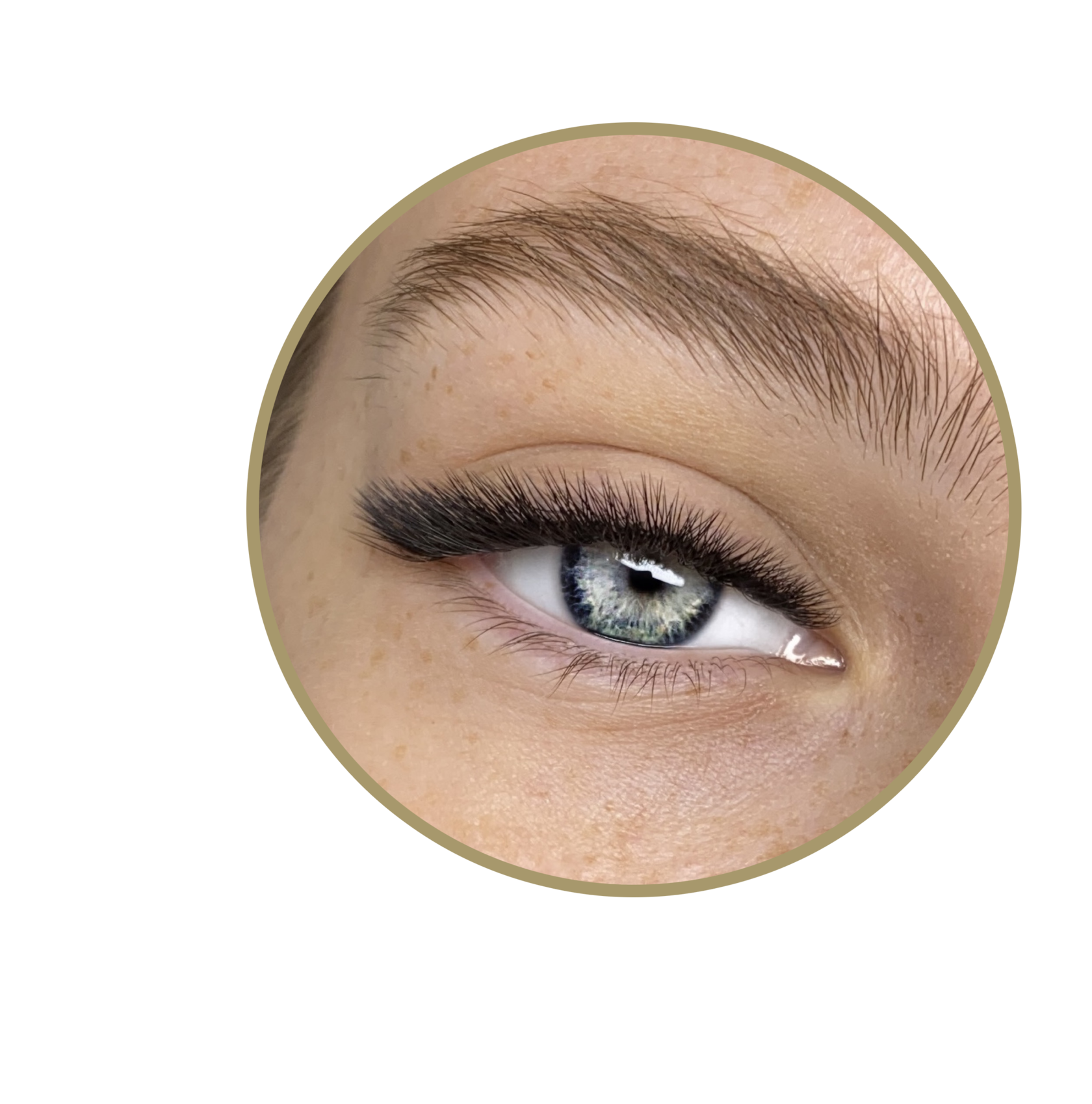 online-course-on-eyelash-extension-top-master
