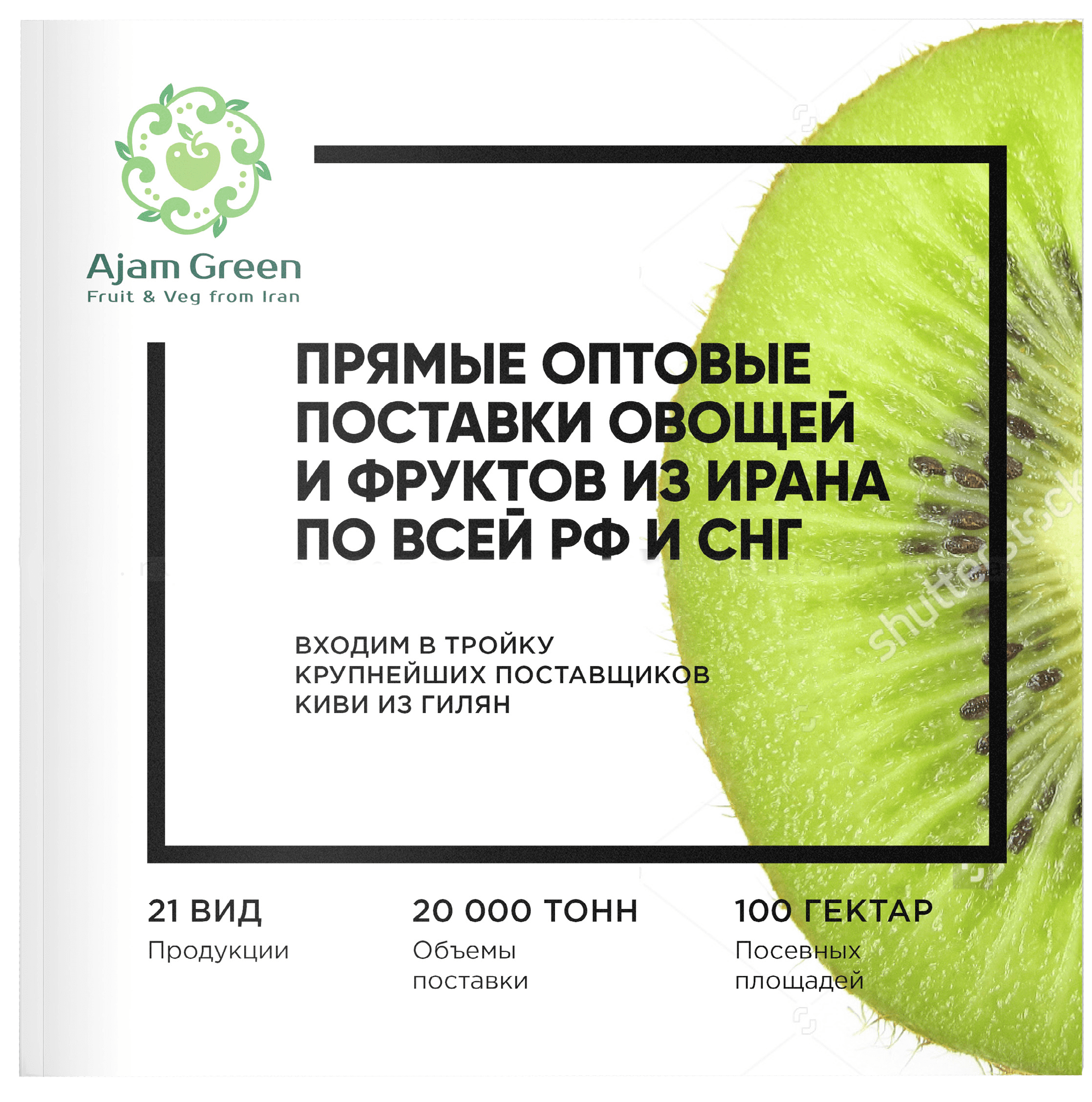 Дизайн маркетинг-кита