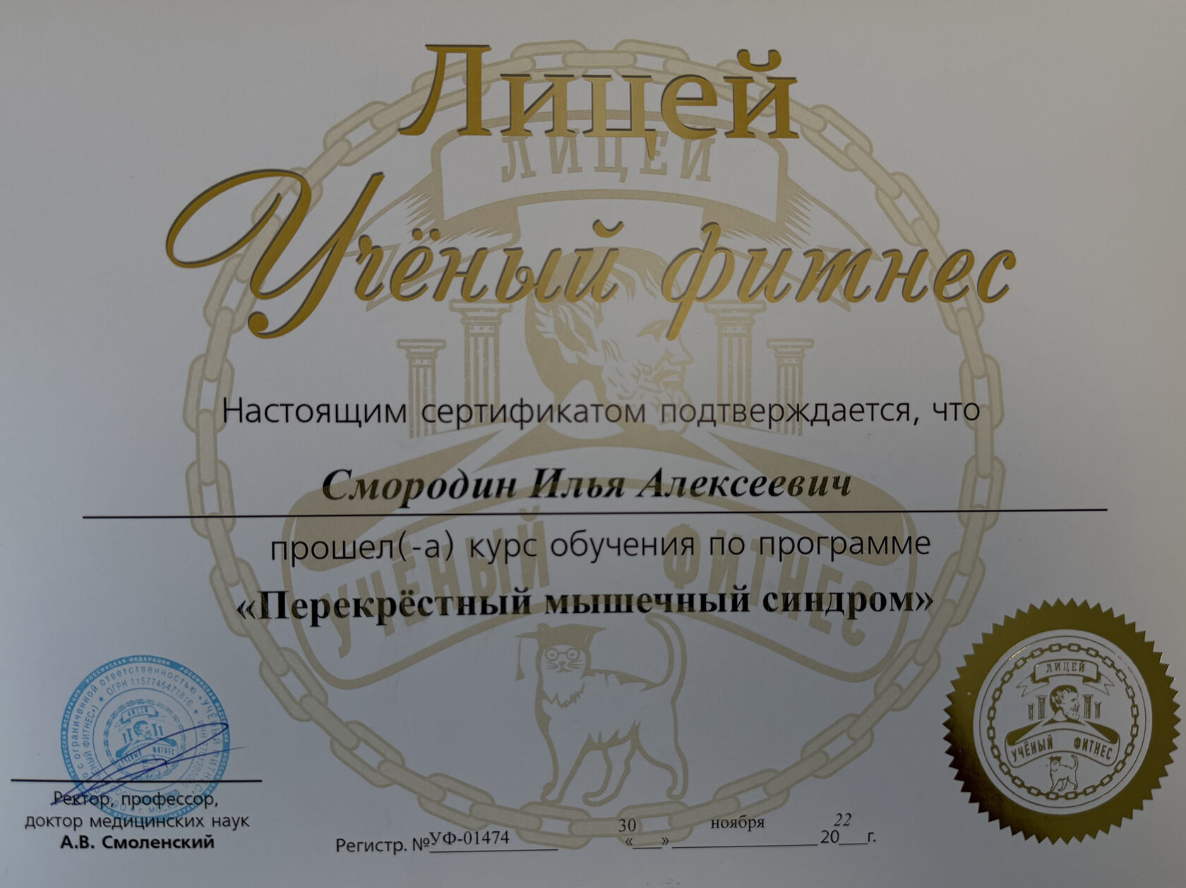Диплом или сертификат, оригинальное изображение