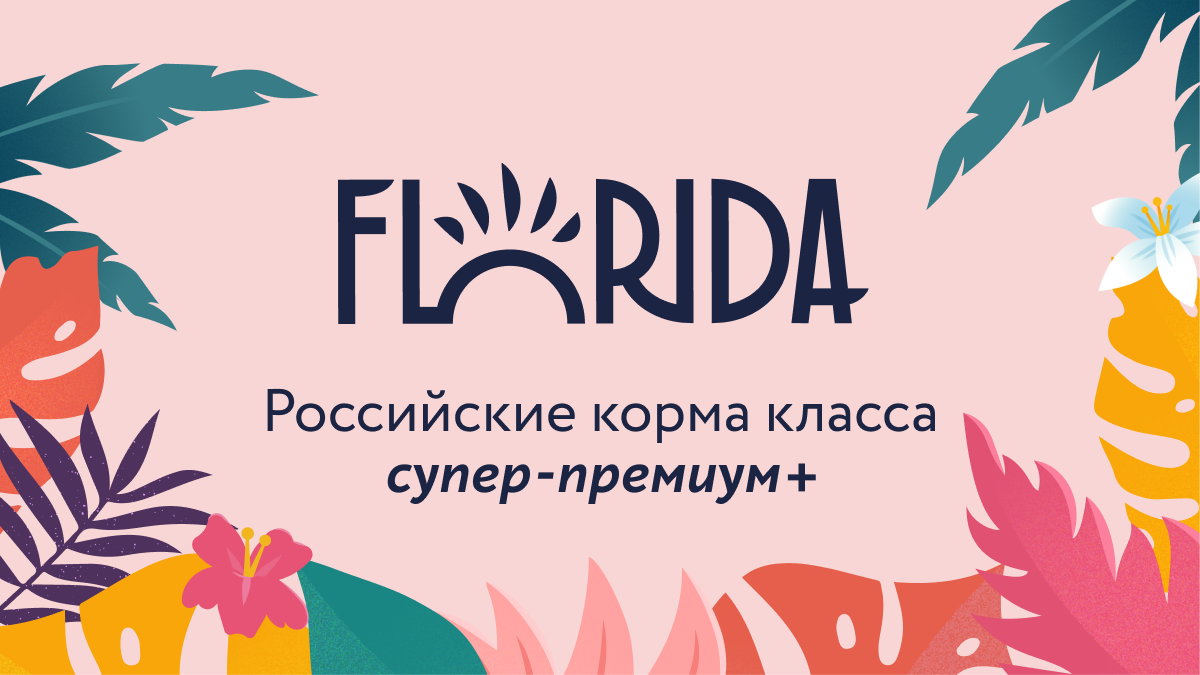 Полнорационный корм для собак Florida