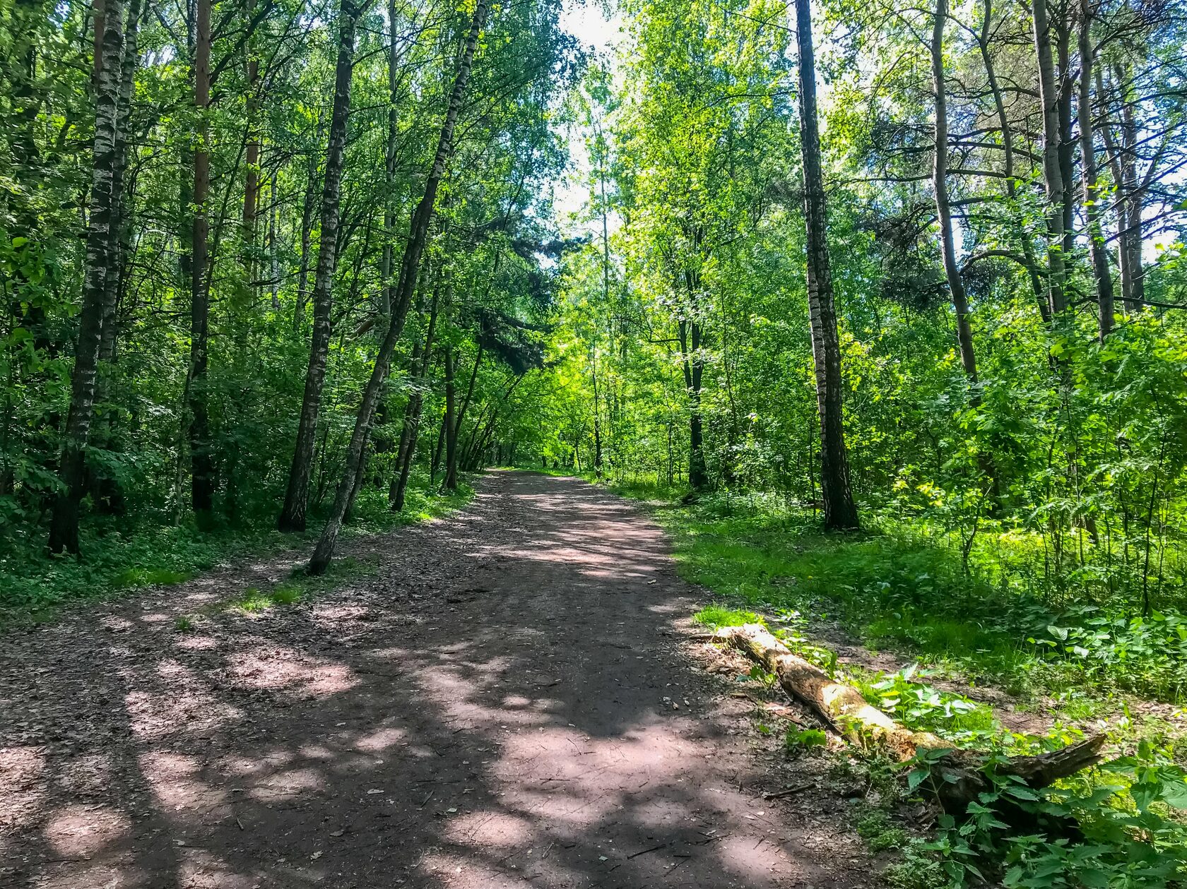 Backyard Ultra Moscow
