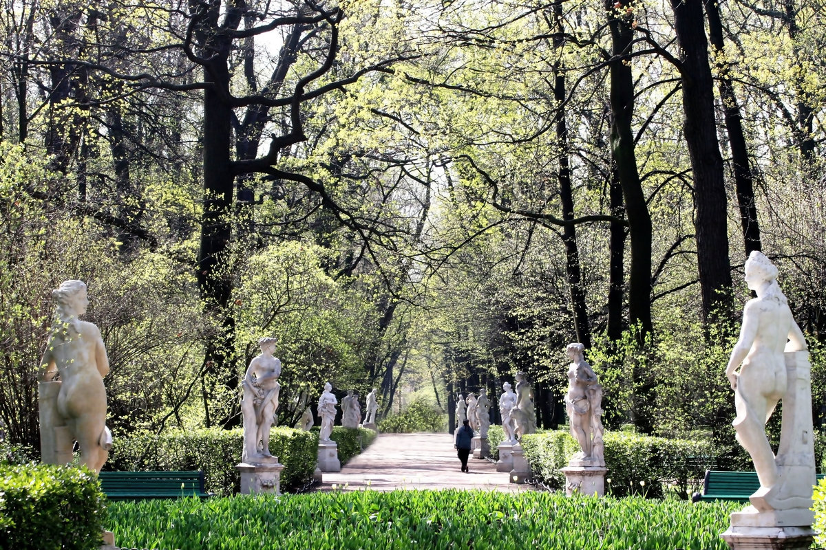 летний сад в санкт петербурге фото