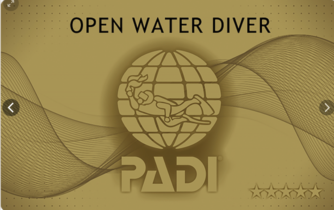 Пади пади алиса. Open Water Diver сертификат. Сертификат Padi. Сертификат OWD Padi. Сертификат Padi open Water