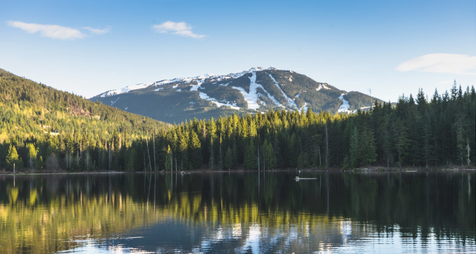 Original nature photograph accompanying Elena Krechko’s article about inner strengths