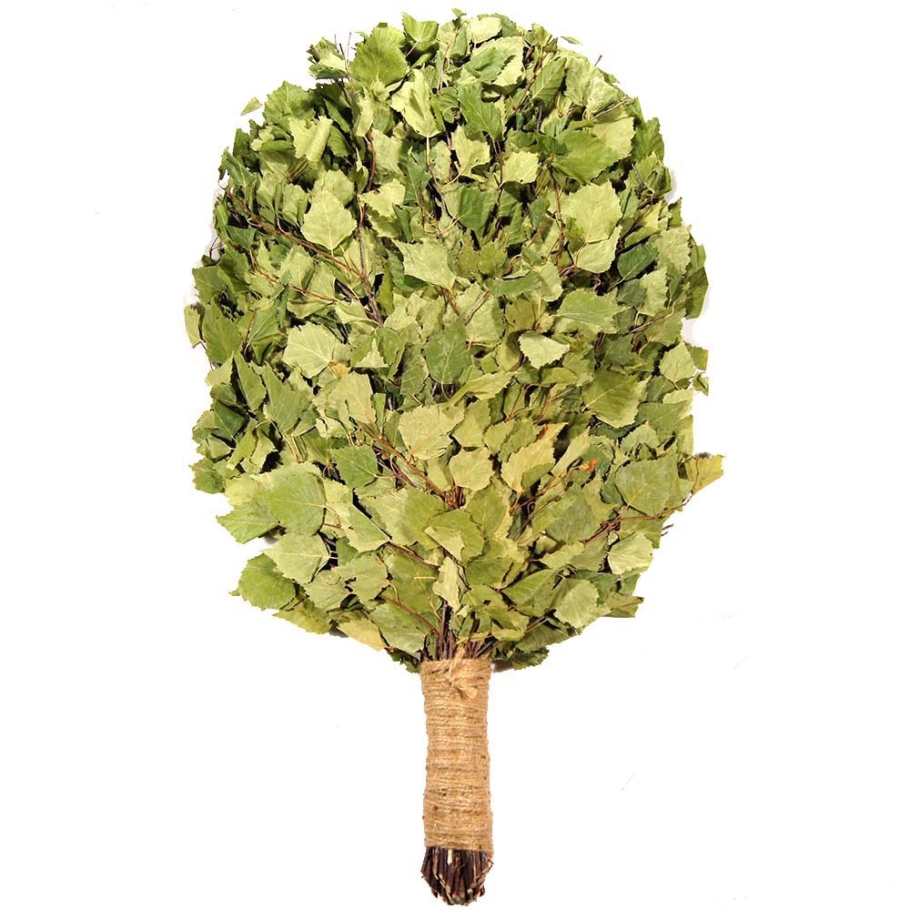 Польза берёзового веника