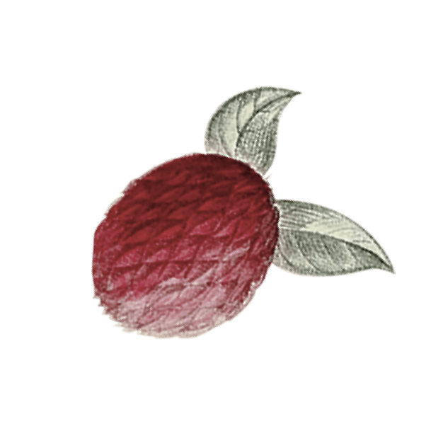 натуральная косметика, магазин профессиональной косметики, крем для ног, крем для ног с мочевиной, крем для ног купить, масло для ногтей, масло монарды для ногтей, масло для ногтей купить, косметика для ногтей, дезодорант для ног