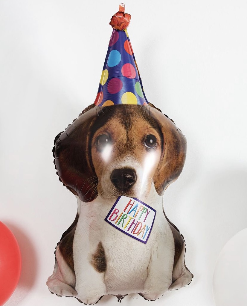 Щенок в колпачке