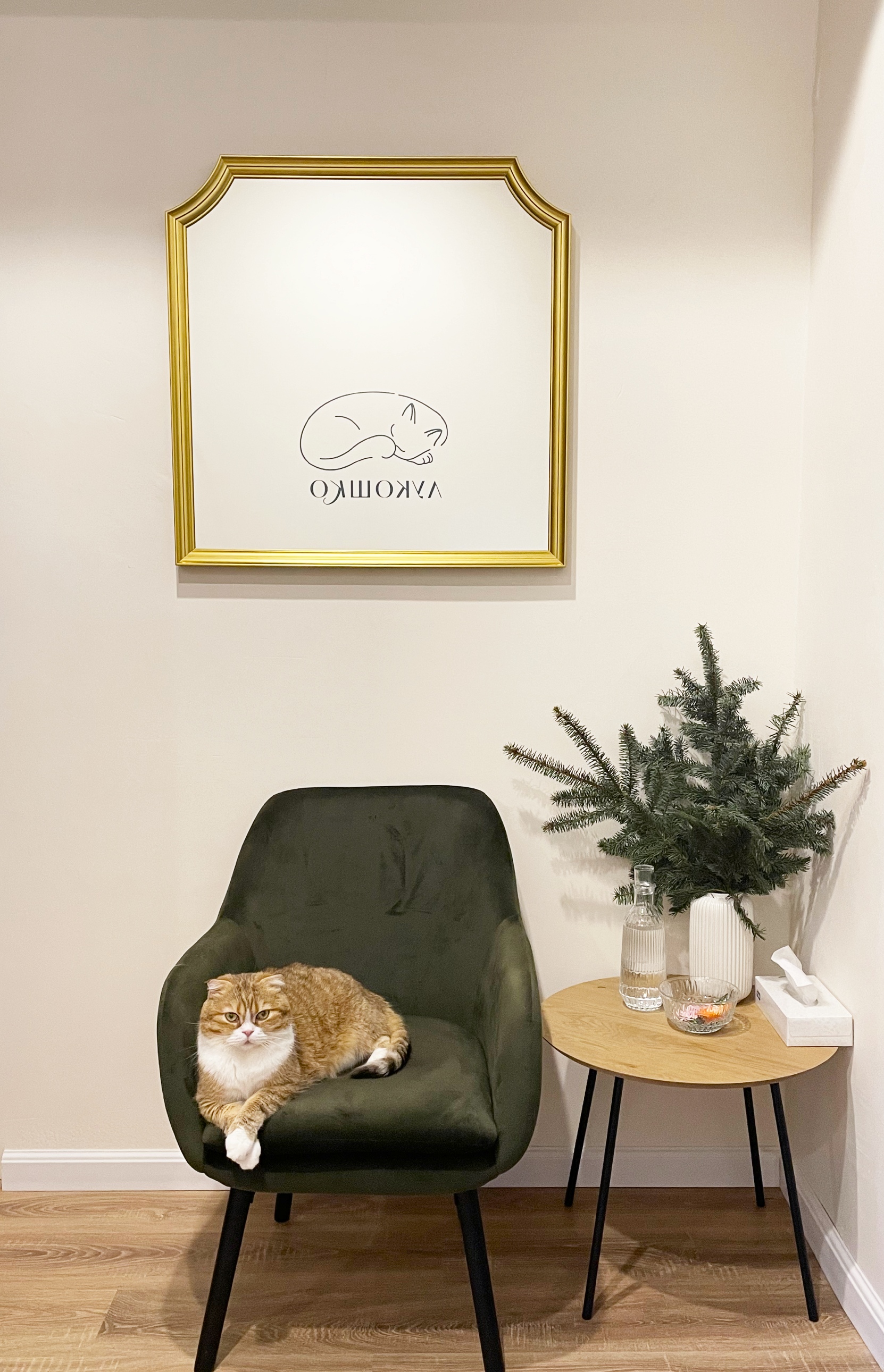 Гостиница для кошек в Москве